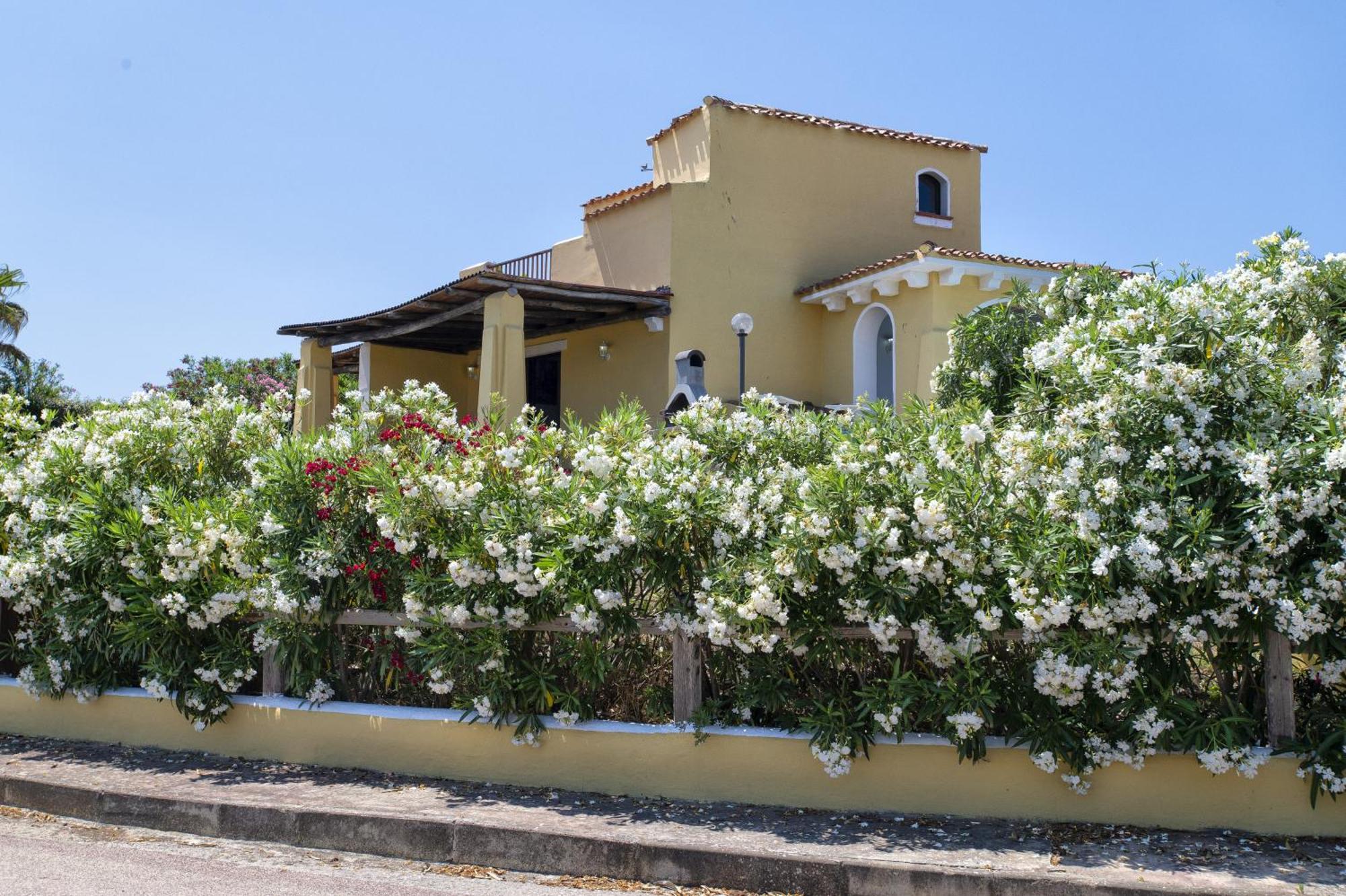 Villa Azzurra Stintino Bagian luar foto